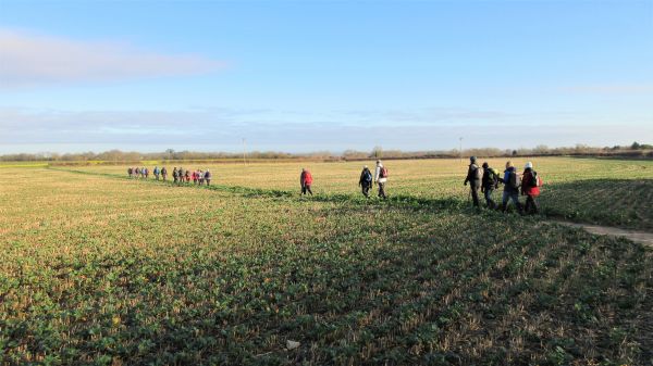 Branston view